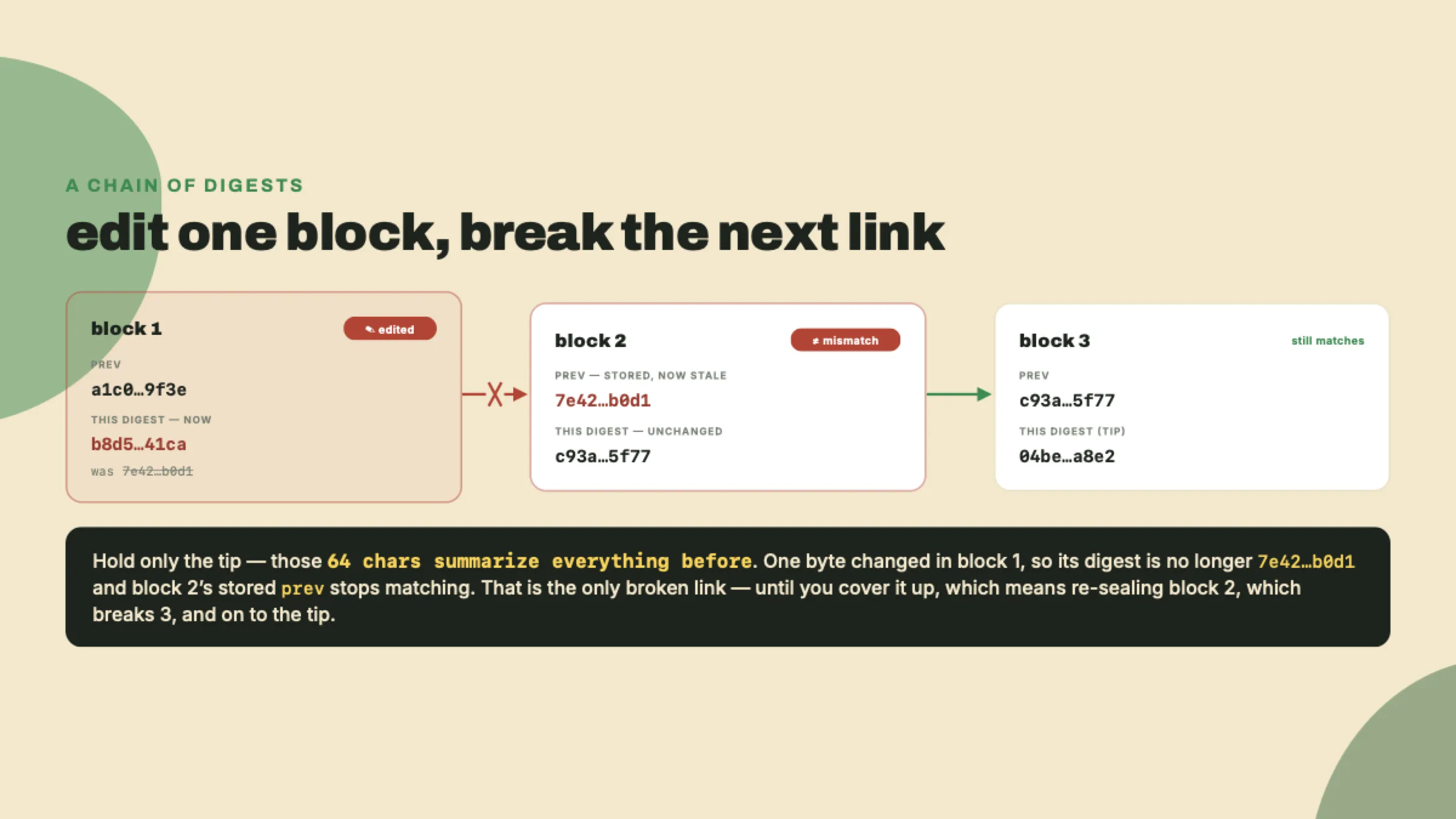 Each block commits to the previous block's digest, so editing a block breaks its link to the very next one, and hiding that break means re-sealing every block above it while the tip digest alone reveals the tampering.