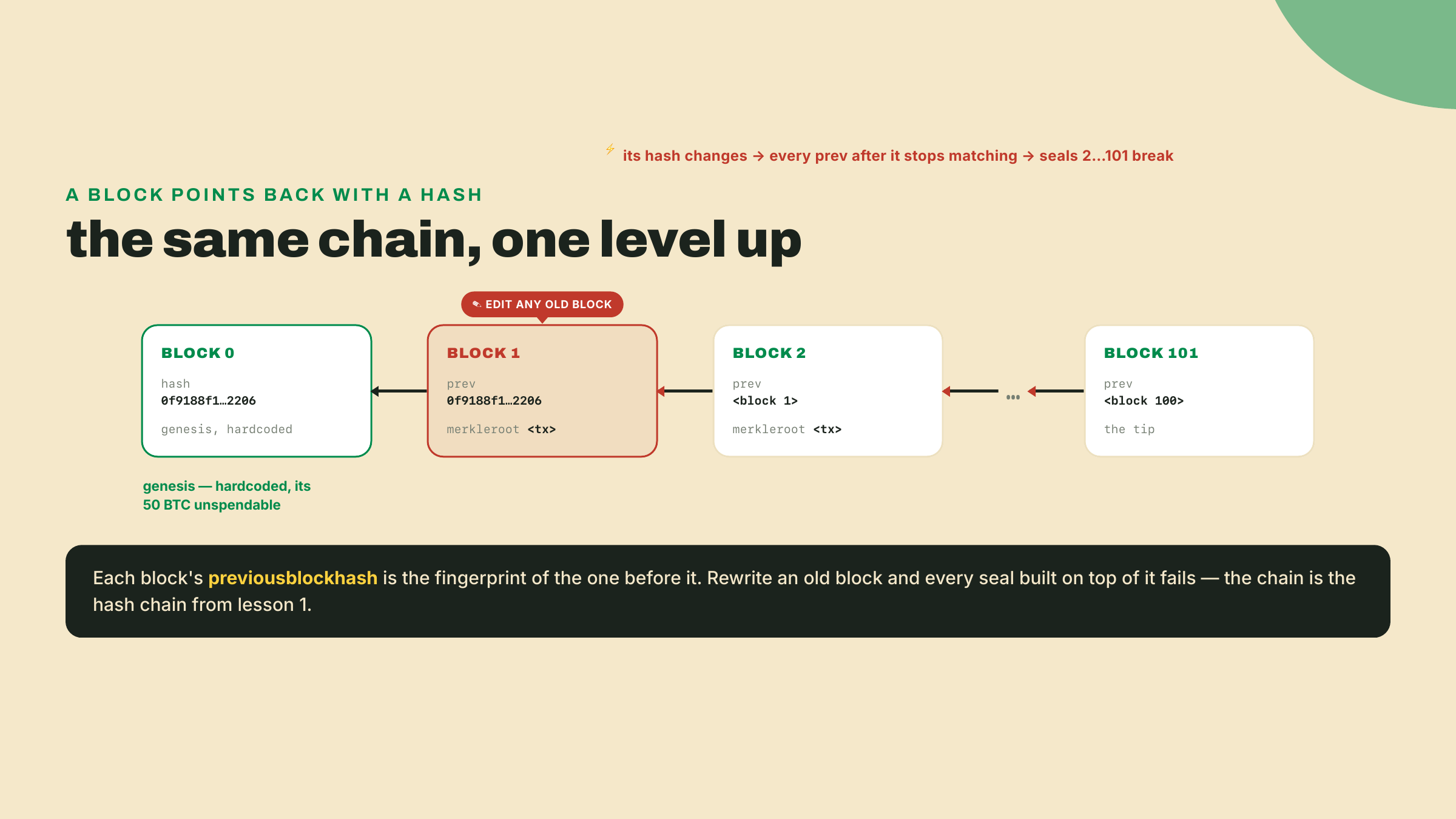 Blocks linked by previousblockhash back to the genesis block, with an edit on an old block cascading to break every later link, the same hash chain from lesson 1.