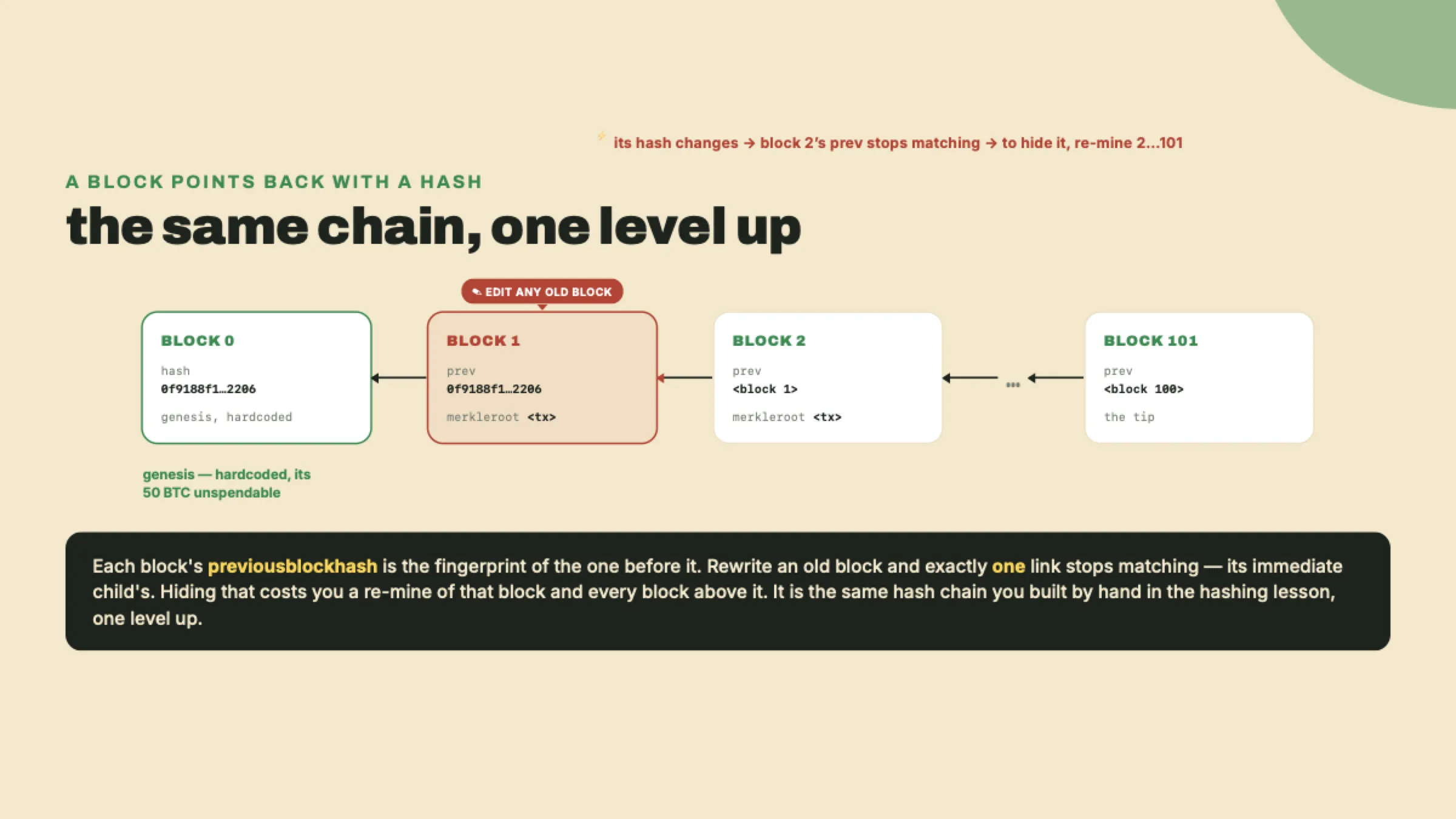Blocks linked by previousblockhash back to the genesis block, with an edit on an old block breaking the link to its immediate child, the same hash chain from the hashing lesson.