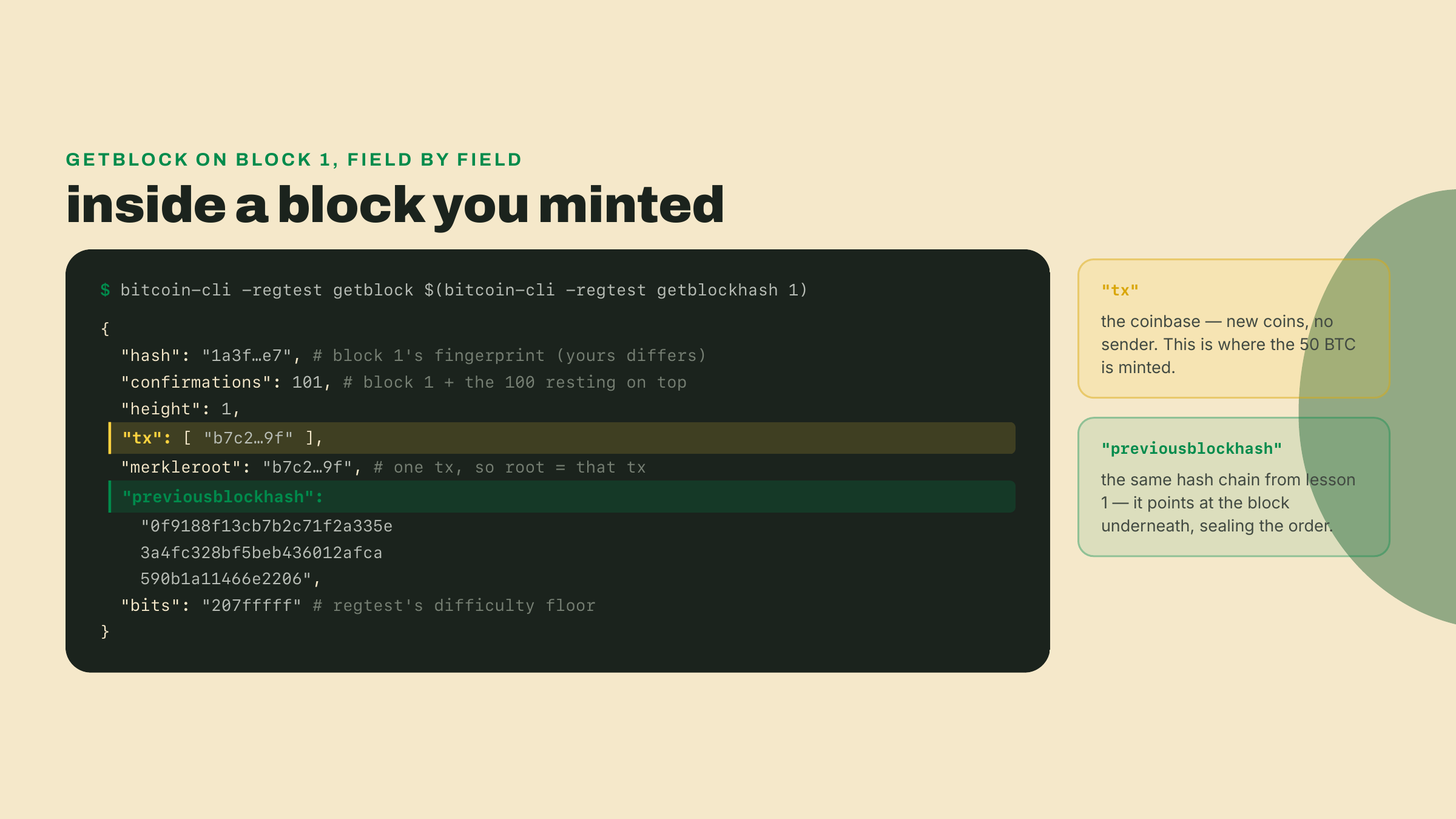 getblock output for block 1 showing previousblockhash pointing at the genesis hash, a single coinbase transaction, the merkleroot equal to that transaction, and the regtest difficulty bits.
