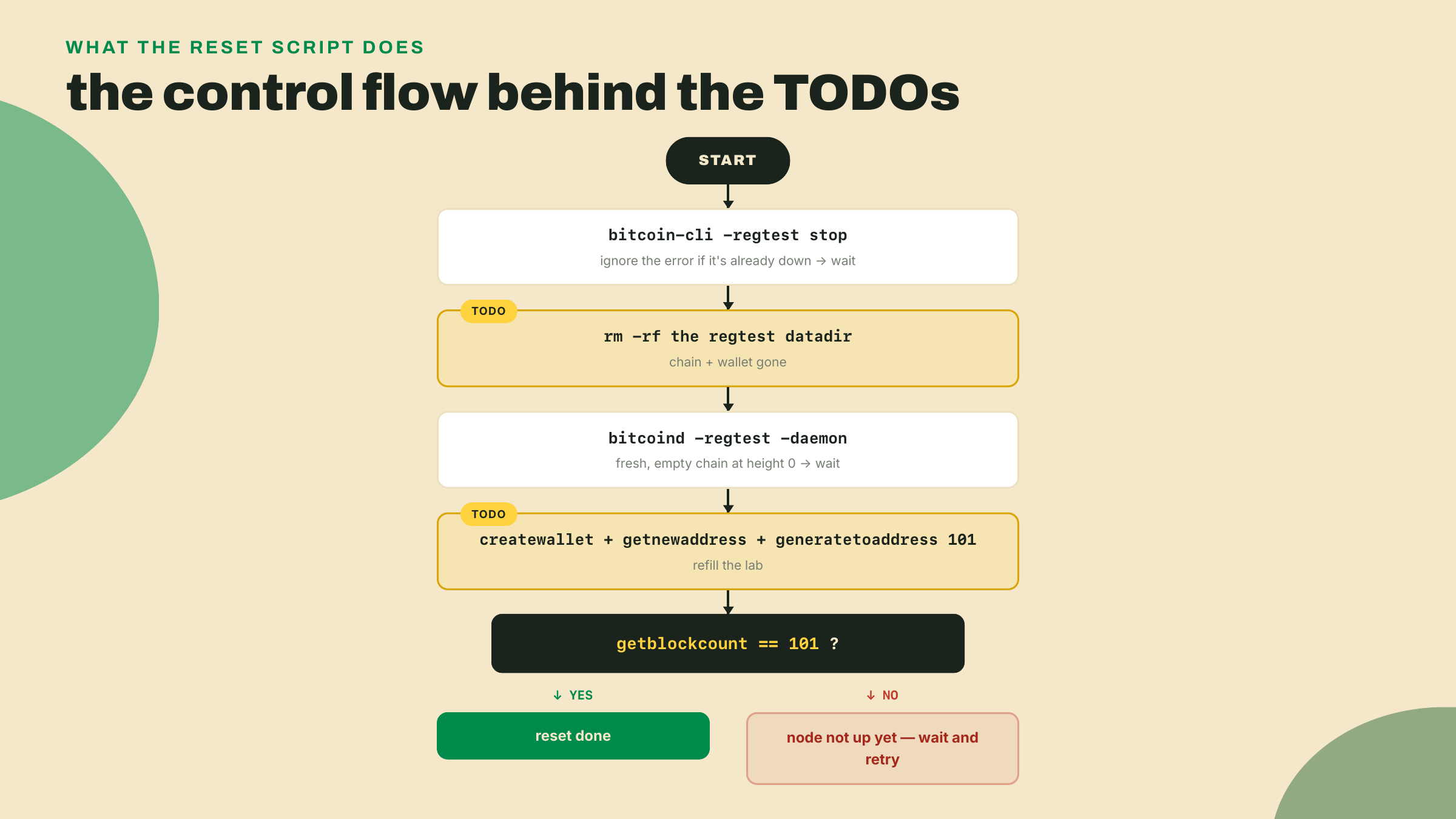 Flowchart of the reset script: stop node, wipe datadir, restart, recreate wallet and re-mine 101 blocks, then verify height is 101.
