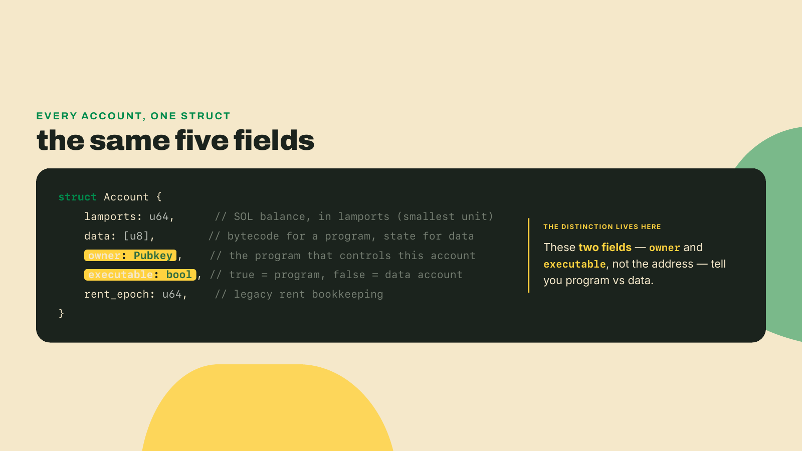 A five-field account struct, lamports, data, owner, executable, rent_epoch, with owner and executable highlighted as the fields that distinguish a program account from a data account.