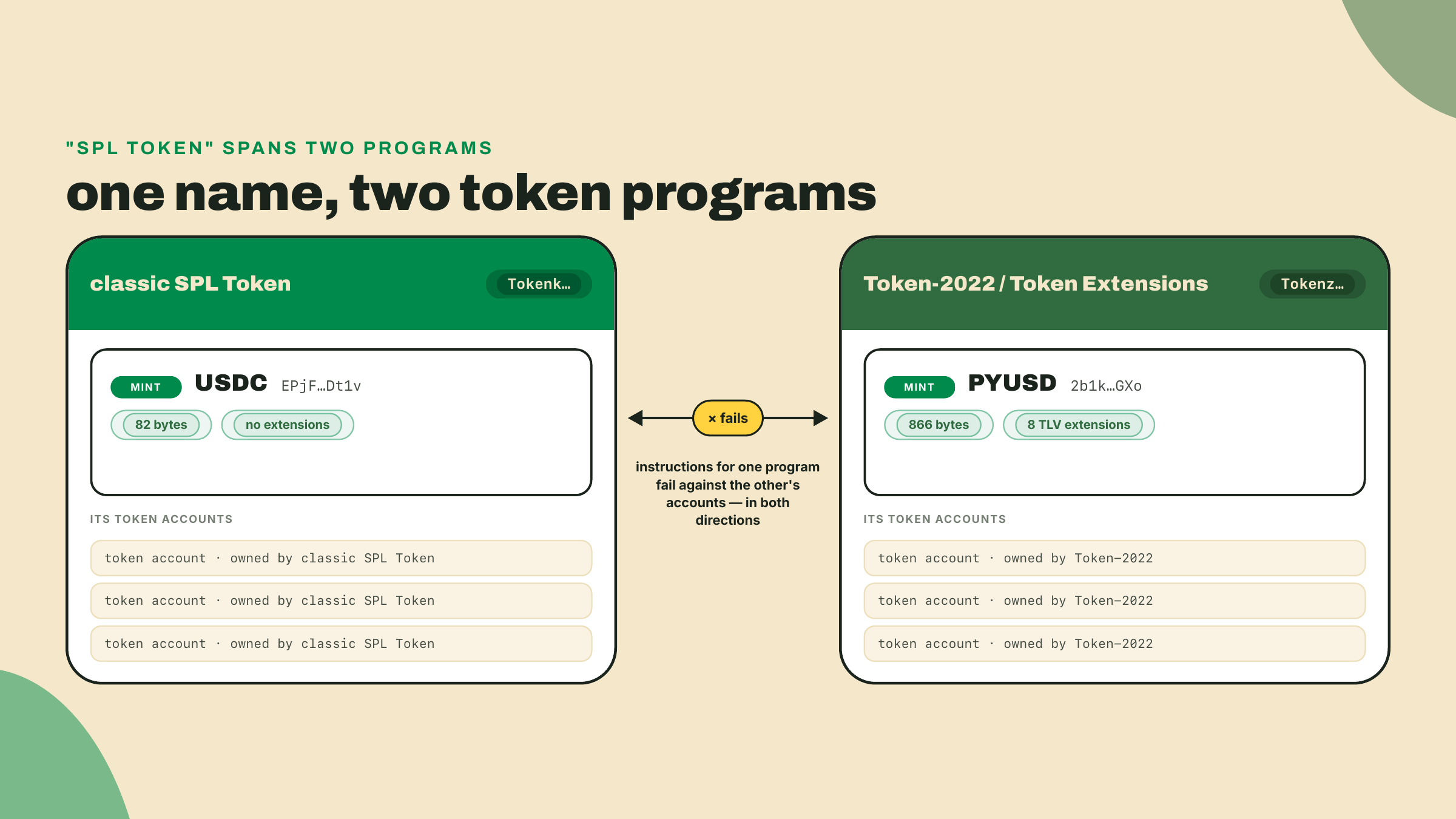 Two separate token programs, classic SPL Token owning the 82-byte USDC mint and Token-2022 owning the 866-byte PYUSD mint with eight extensions, with instructions unable to cross between them.