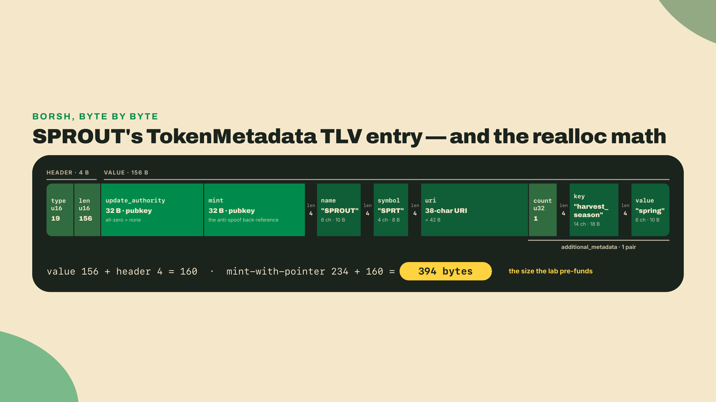 Byte-level layout of the TokenMetadata TLV entry, two 32-byte pubkeys plus Borsh length-prefixed strings totaling 160 bytes, which brings the 234-byte mint to the 394 bytes the lab funds.