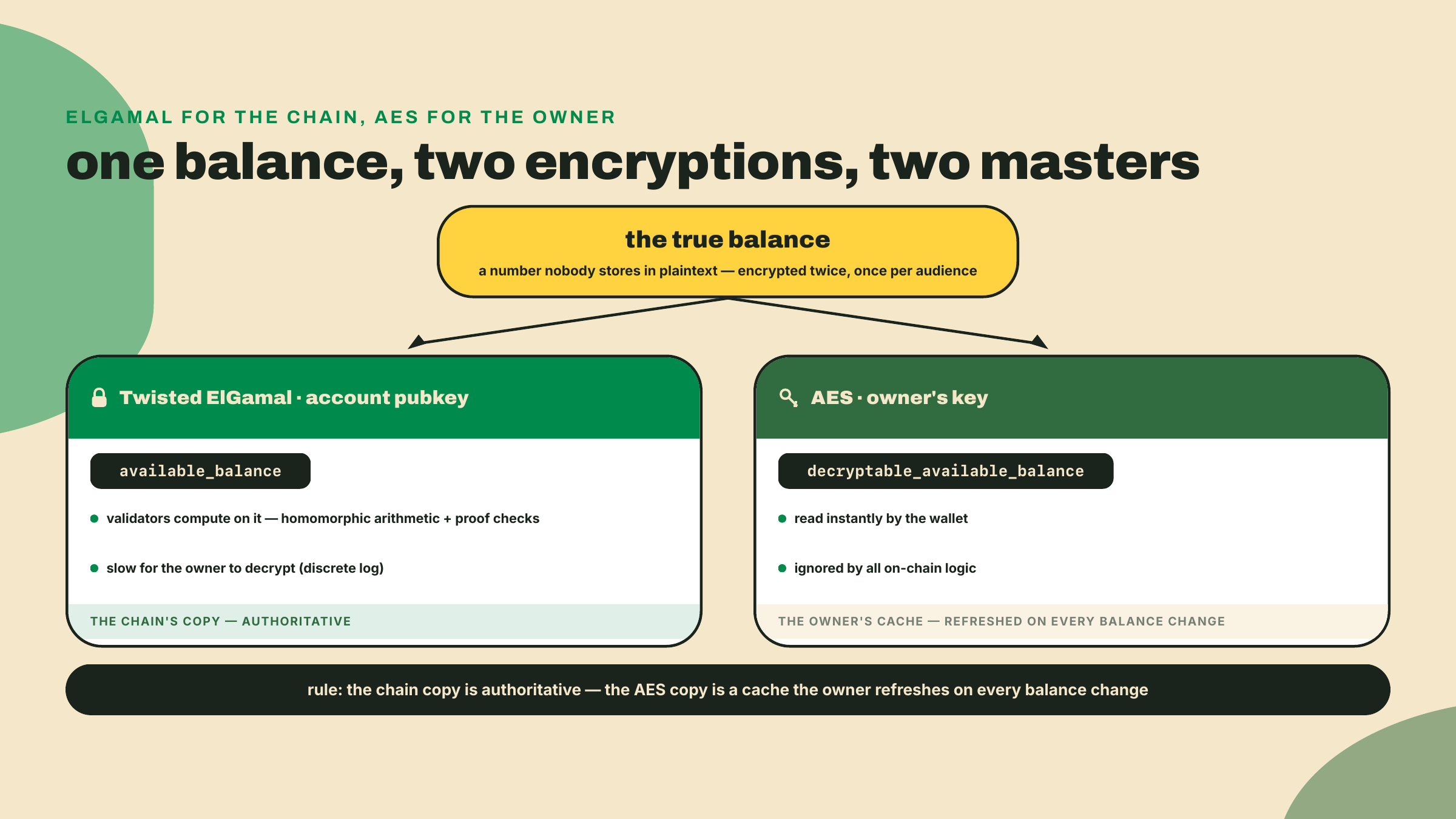 Diagram splitting one hidden balance into two stored ciphertexts, an ElGamal copy the chain computes on but owners decrypt slowly, and an AES copy owners read instantly.