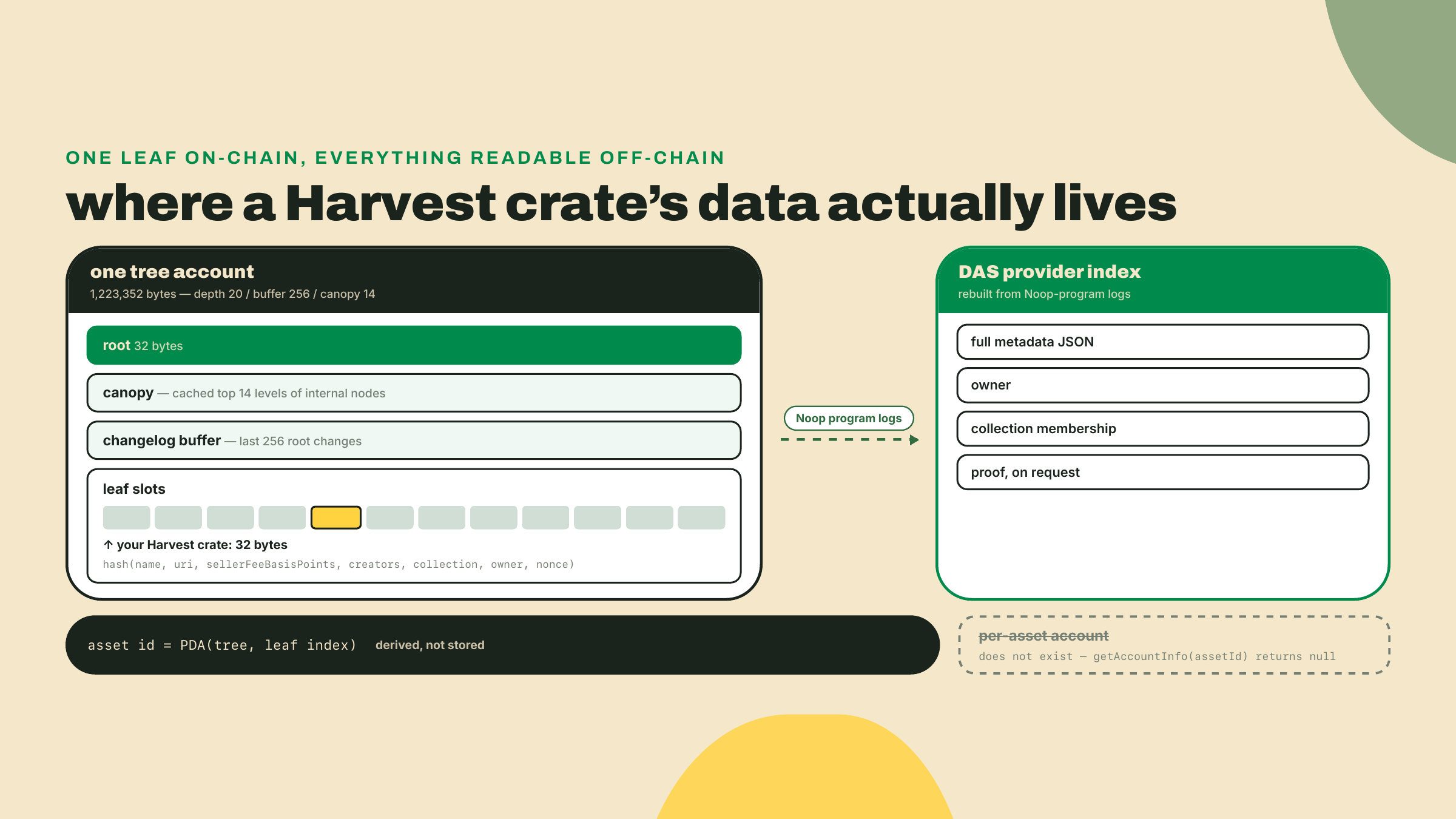 One tree account holds the root, canopy, changelog buffer, and leaf slots beside a separate DAS index of readable metadata, with the nonexistent per-asset account struck through.