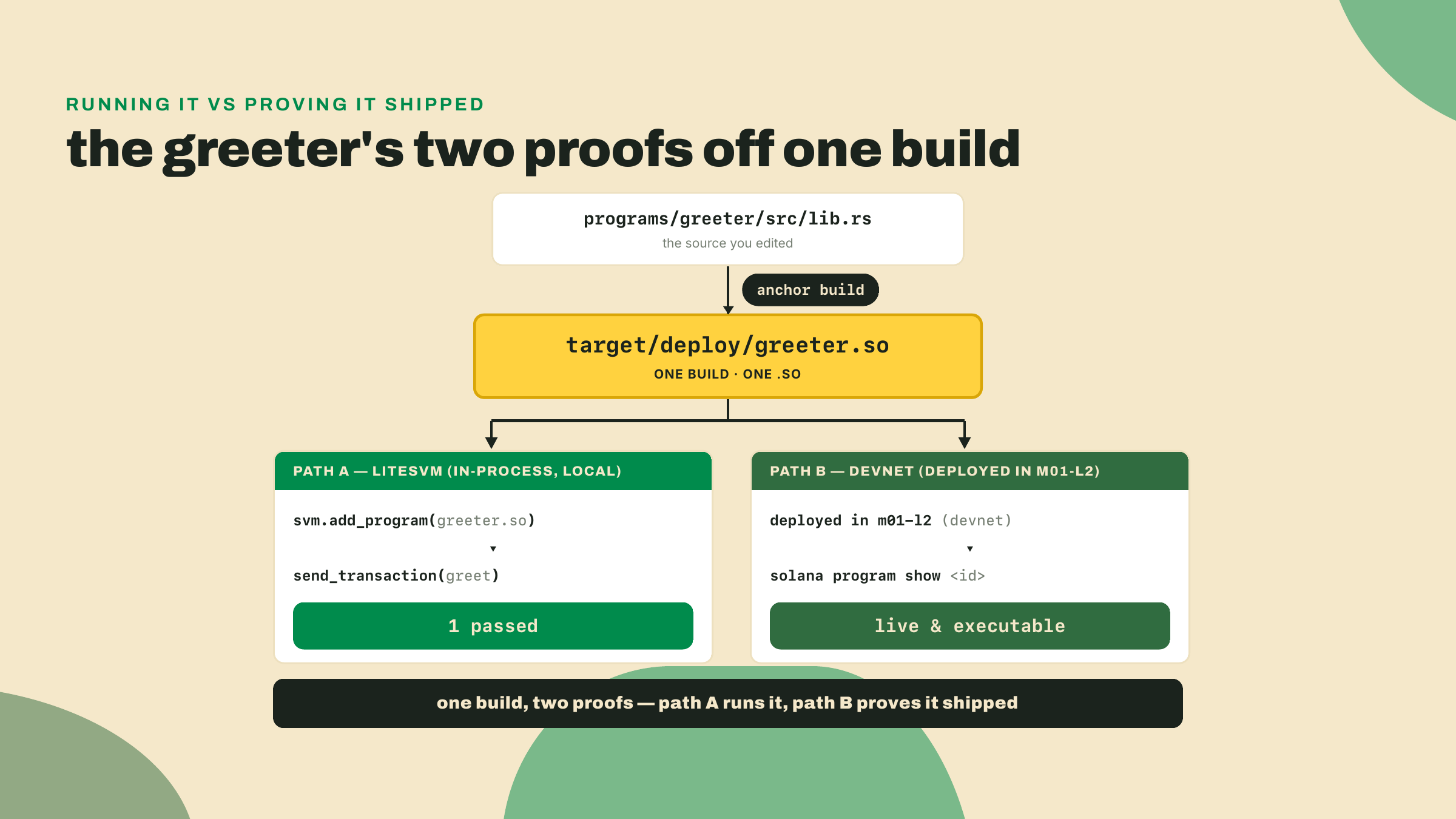 One greeter.so built from lib.rs feeds two proofs, a local in-process LiteSVM run of the handler and a devnet account that resolves as executable.