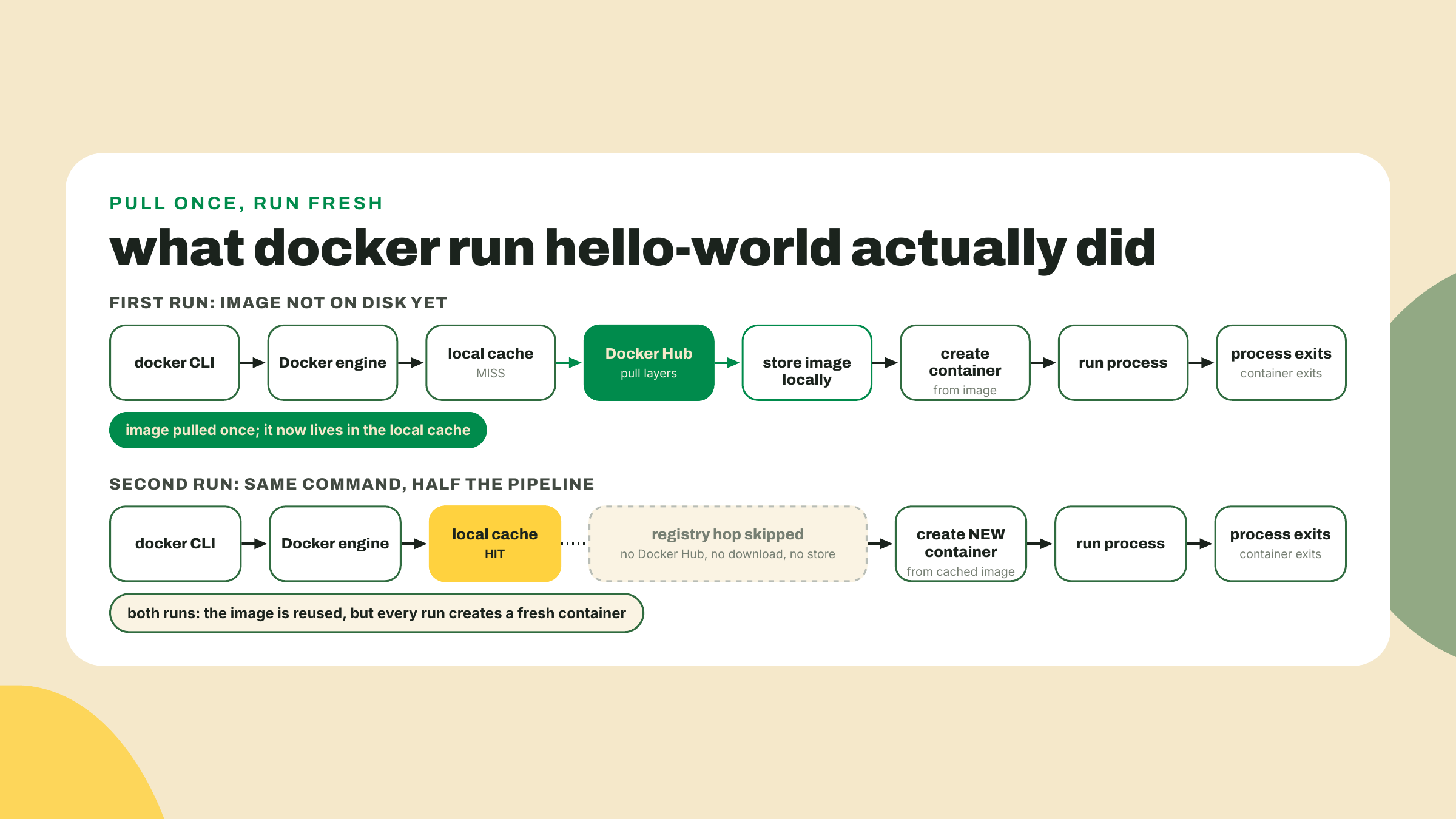 The first docker run pulls the image from the registry and caches it, while the second run reuses the cached image and only creates a new container.