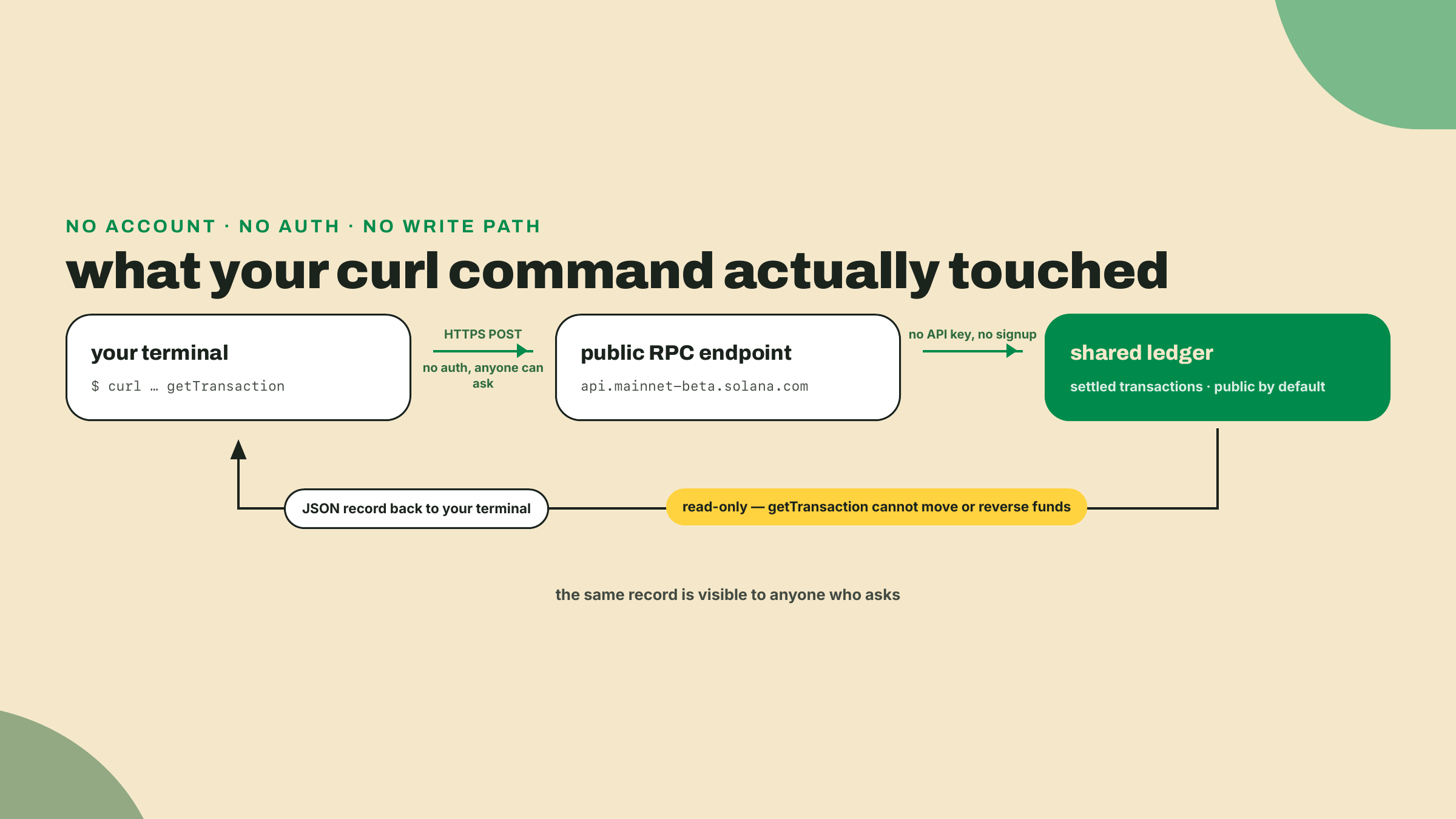 A terminal sends an unauthenticated HTTPS request to a public RPC endpoint, which reads a settled transaction from the shared ledger and returns the JSON record; the path is read-only.