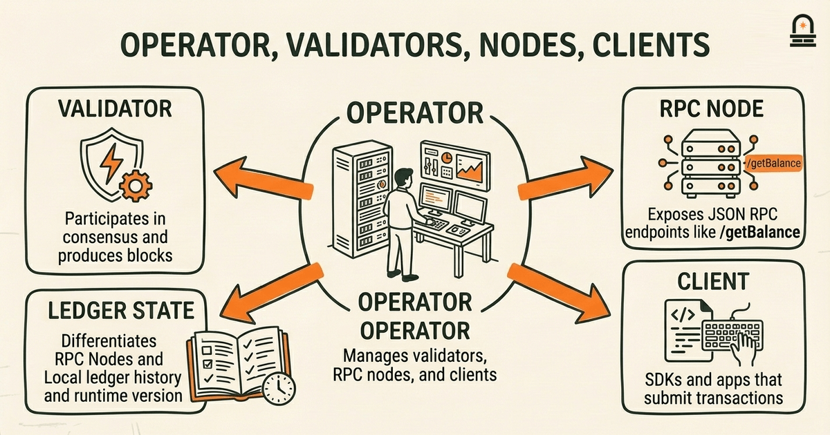 Operator, Validators, Nodes, Clients